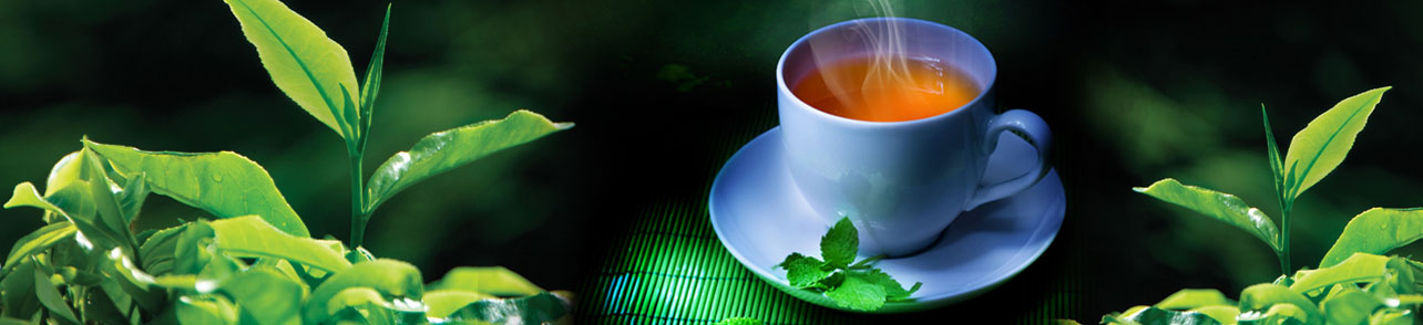 Tikra ir  kokybiška arbata iš Kinijos